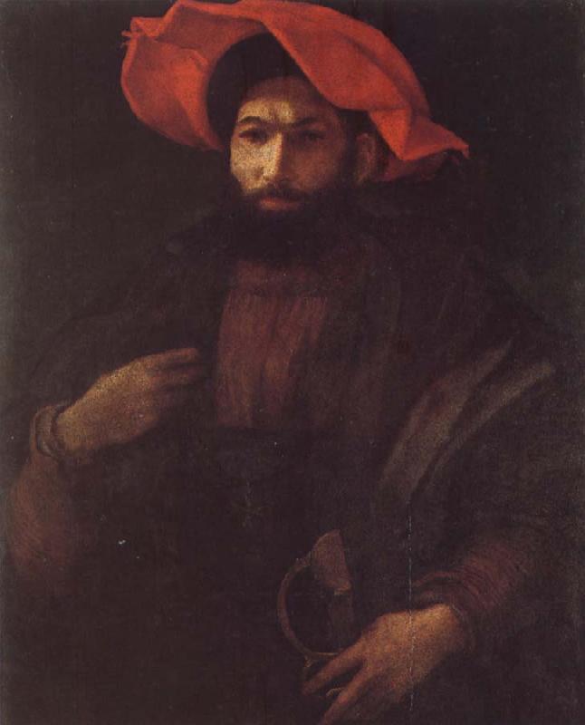 Rosso Fiorentino Portrait of a Kinight oil painting picture